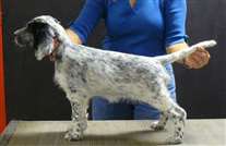 Click for large image