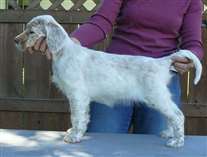 Click for large image