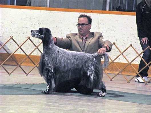 Click for large image