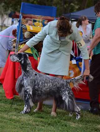 Click for large image