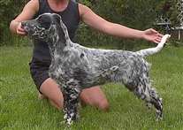 Click for large image