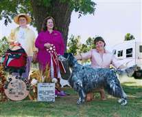 Click for large image