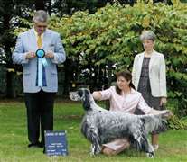 Click for large image