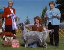 Click for large image