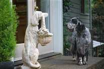 Click for large image