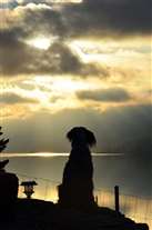 Click for large image