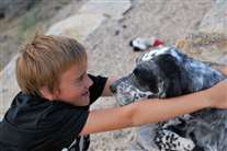 Click for large image