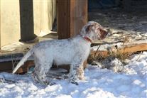 Click for large image