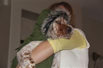 Click for large image