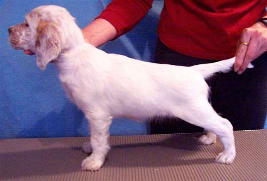 Click for large image