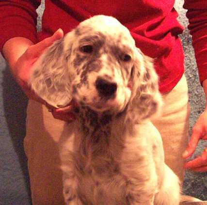 Click for large image