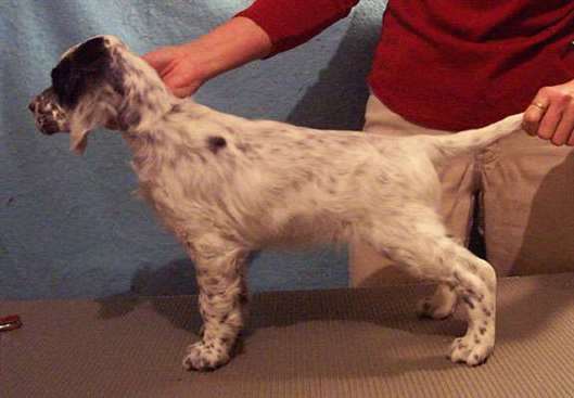 Click for large image