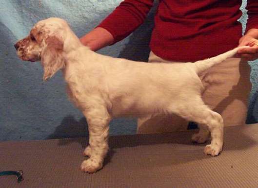 Click for large image