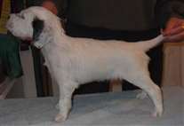 Click for large image