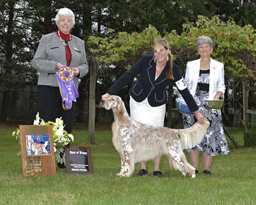 Click for large image