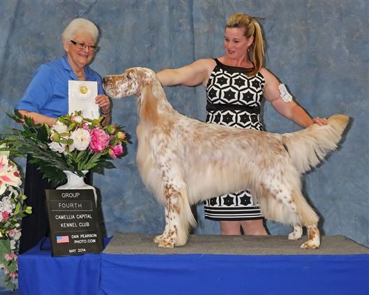 Click for large image