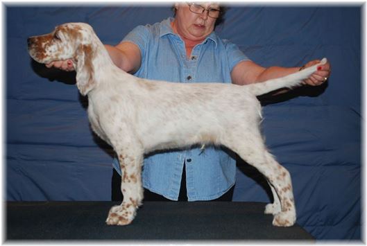 Click for large image