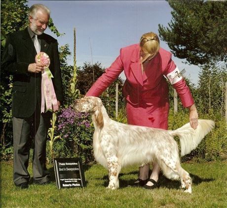 Click for large image