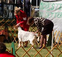 Click for large image