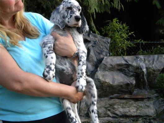 Click for large image