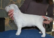 Click for large image