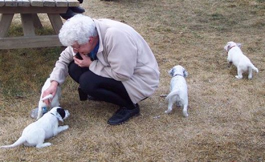 Click for large image