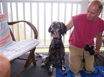 Click for large image