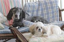 Click for large image