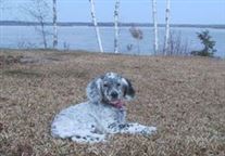 Click for large image