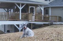 Click for large image