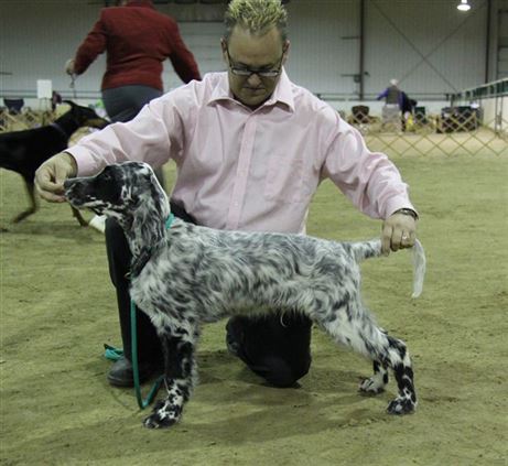 Click for large image