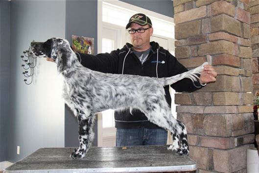 Click for large image