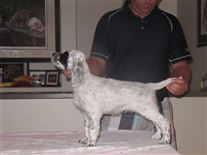 Click for large image