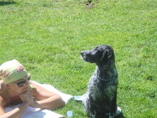 Click for large image