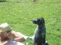 Click for large image