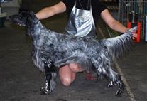 Click for large image