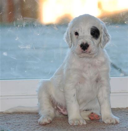 Click for large image