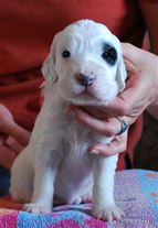 Click for large image