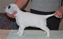 Click for large image