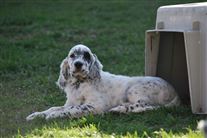 Click for large image