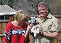 Click for large image