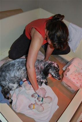 Click for large image