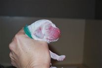 Click for large image