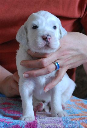 Click for large image