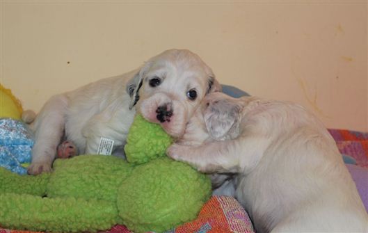 Click for large image