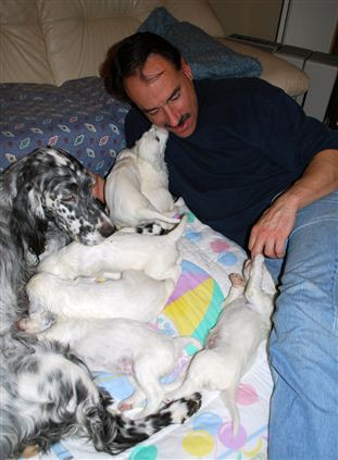 Click for large image