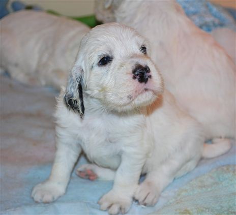 Click for large image