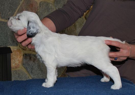 Click for large image