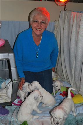 Click for large image