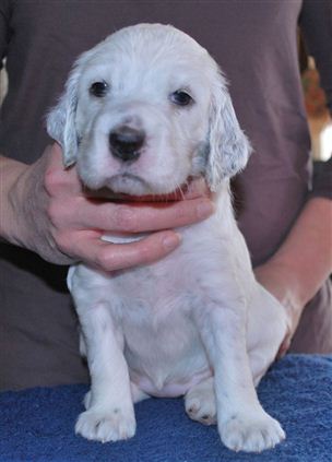 Click for large image